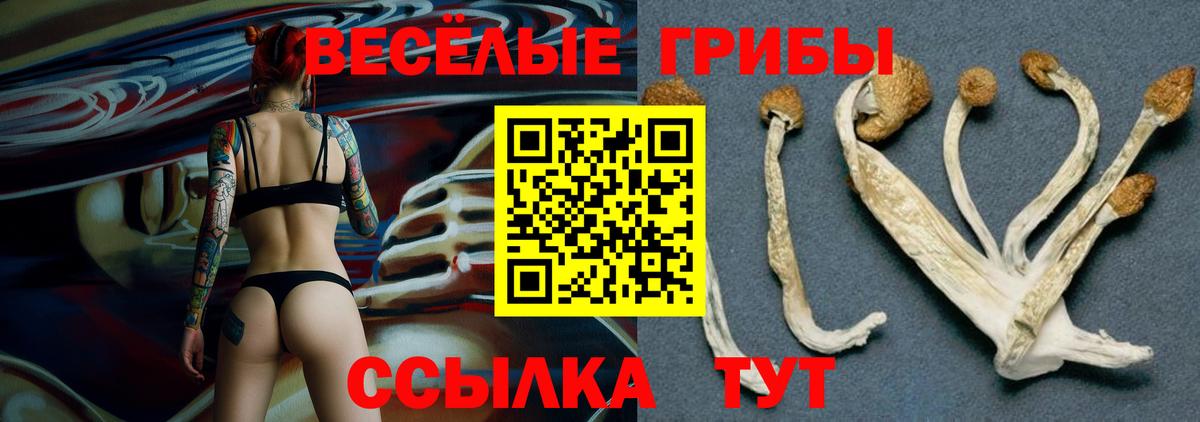 Псилоцибиновые грибы мицелий Усинск